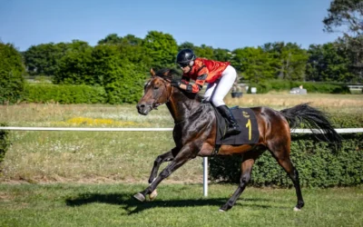 Deauville, capitale du sport et de l’hippisme : le guide complet des événements