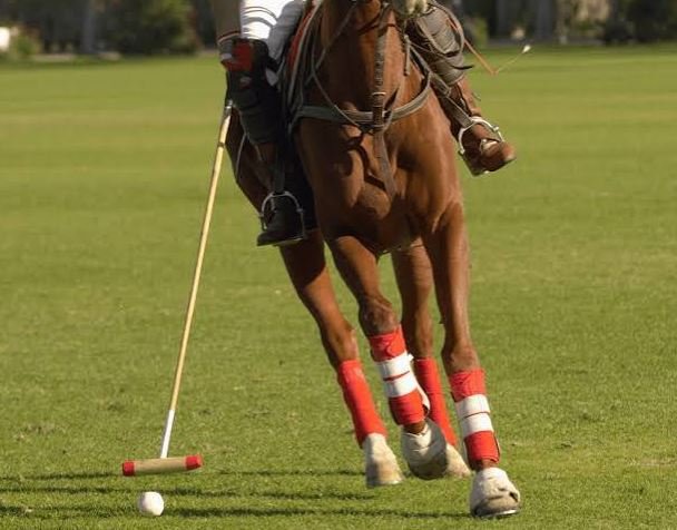 Deauville, capitale du sport et de l'hippisme 
